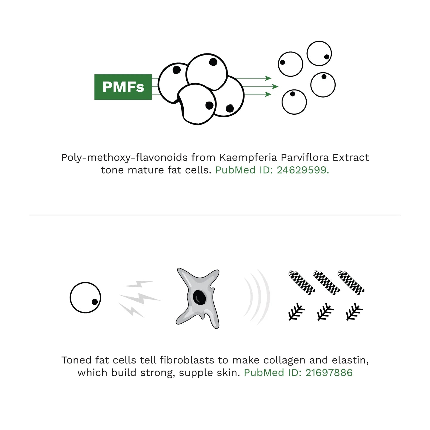 Strength Gel | Adipeau